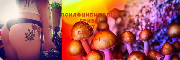 герыч Тутаев