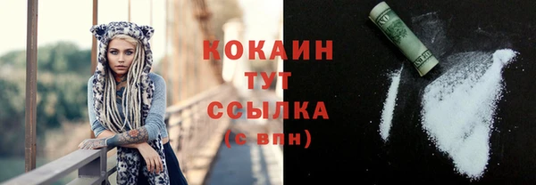 тгк Богданович