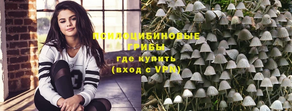 тгк Богданович