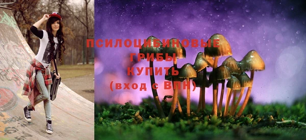 соль курить ск Богородск